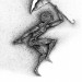umbrellapm thumbnail