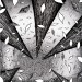 leaves thumbnail
